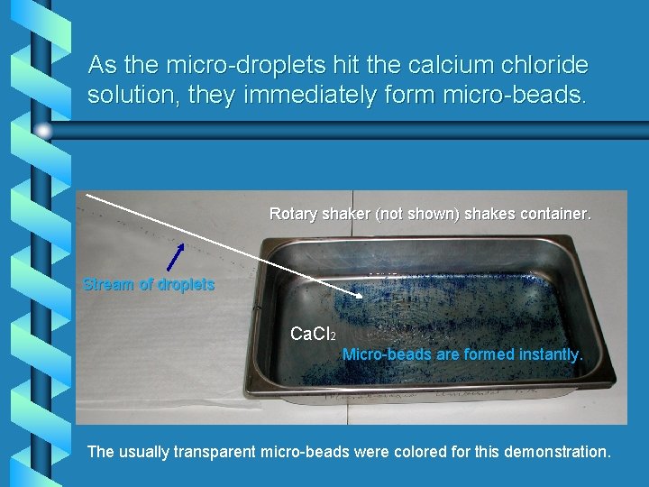 As the micro-droplets hit the calcium chloride solution, they immediately form micro-beads. Rotary shaker