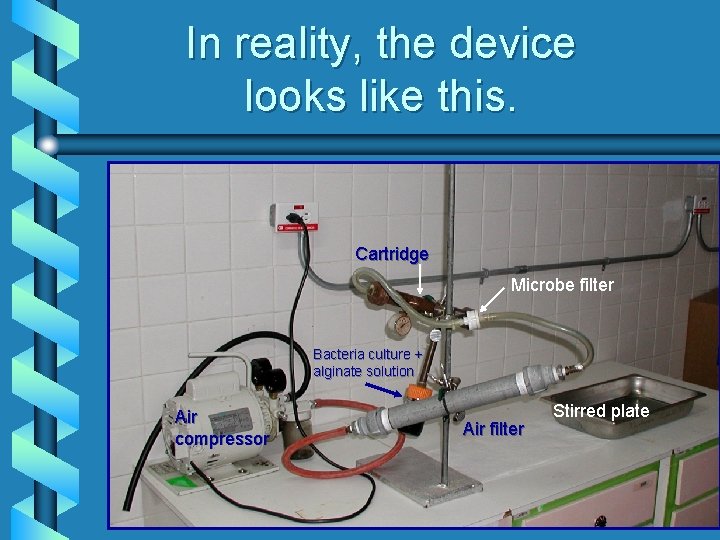 In reality, the device looks like this. Cartridge Microbe filter Bacteria culture + alginate