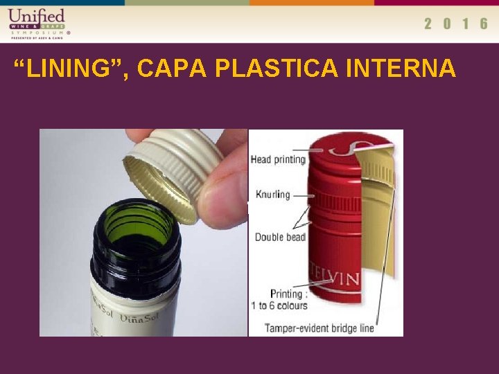 “LINING”, CAPA PLASTICA INTERNA Place chart here 