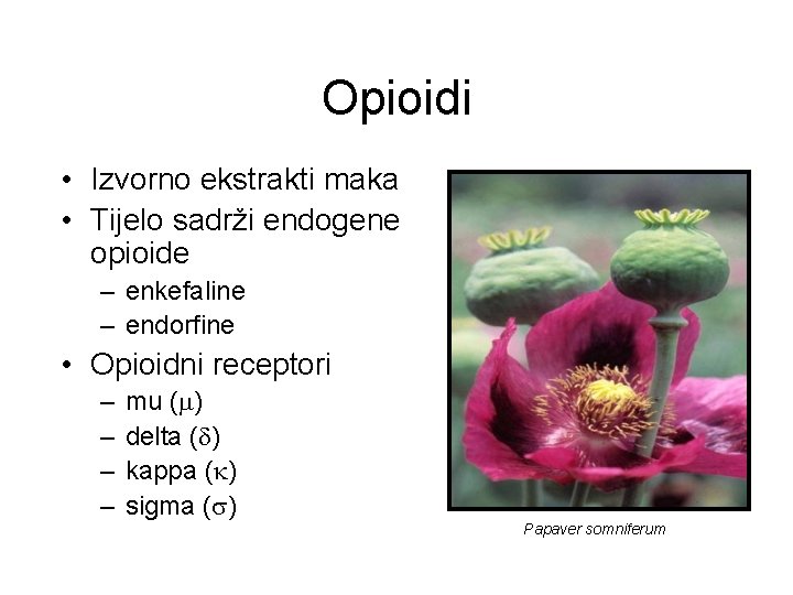 Opioidi • Izvorno ekstrakti maka • Tijelo sadrži endogene opioide – enkefaline – endorfine