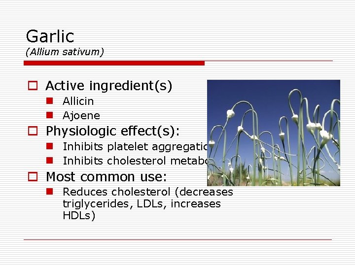 Garlic (Allium sativum) o Active ingredient(s) n Allicin n Ajoene o Physiologic effect(s): n