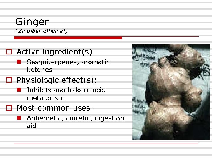 Ginger (Zingiber officinal) o Active ingredient(s) n Sesquiterpenes, aromatic ketones o Physiologic effect(s): n