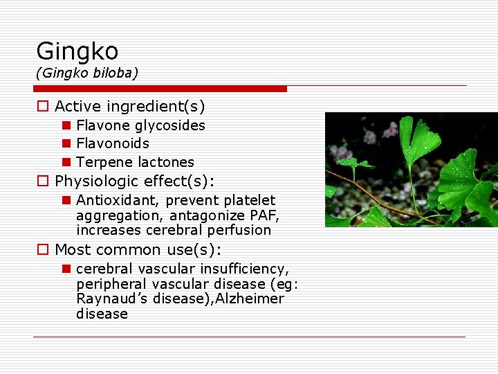 Gingko (Gingko biloba) o Active ingredient(s) n Flavone glycosides n Flavonoids n Terpene lactones