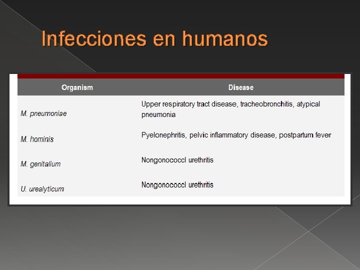 Infecciones en humanos 