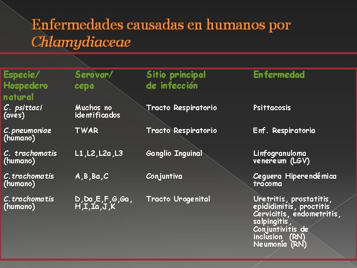 Enfermedades causadas en humanos por Chlamydiaceae Especie/ Hospedero natural Serovar/ cepa Sitio principal de