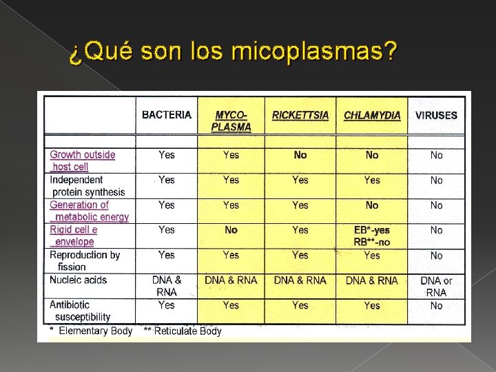 ¿Qué son los micoplasmas? 