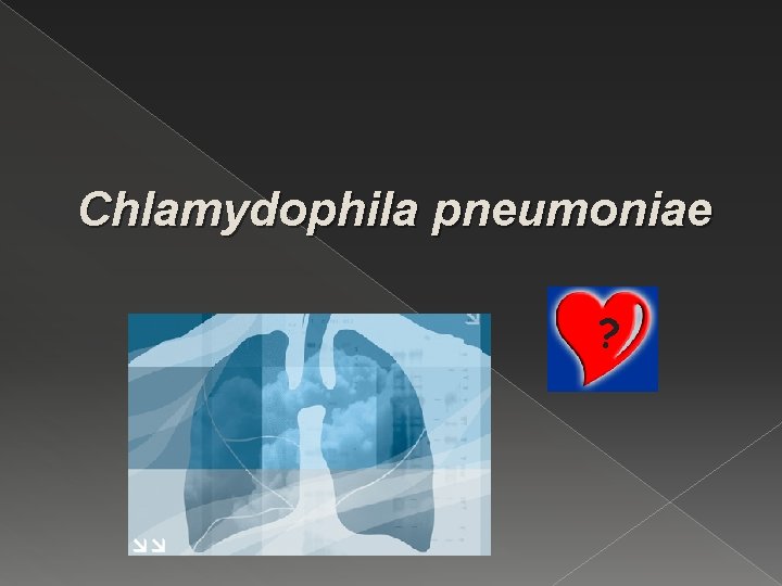 Chlamydophila pneumoniae ? 