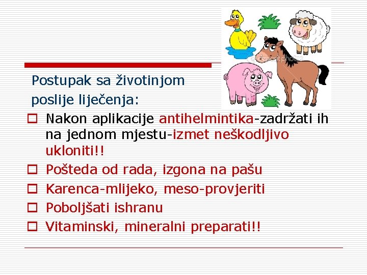 Postupak sa životinjom posliječenja: o Nakon aplikacije antihelmintika-zadržati ih na jednom mjestu-izmet neškodljivo ukloniti!!