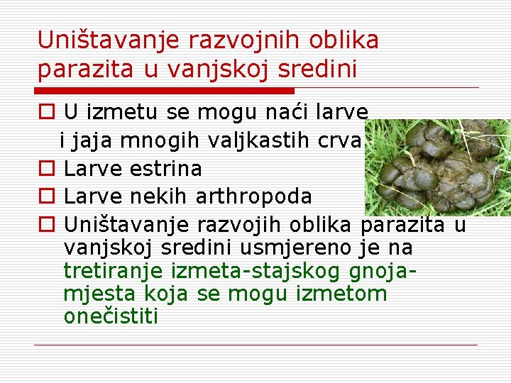 Uništavanje razvojnih oblika parazita u vanjskoj sredini o U izmetu se mogu naći larve