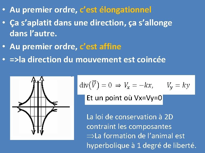  • Au premier ordre, c’est élongationnel • Ça s’aplatit dans une direction, ça