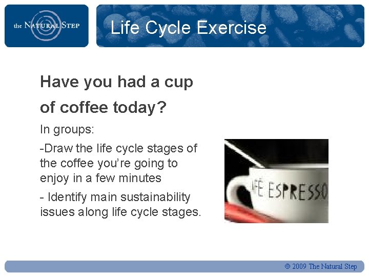 Life Cycle Exercise Have you had a cup of coffee today? In groups: -Draw