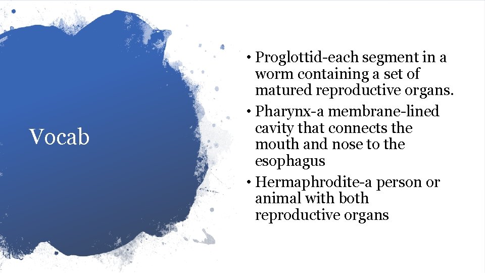 Vocab • Proglottid-each segment in a worm containing a set of matured reproductive organs.