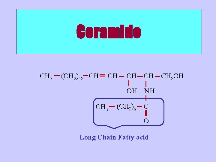 Ceramide CH 3 (CH 2)12 CH CH CH 3 CH CH OH NH (CH