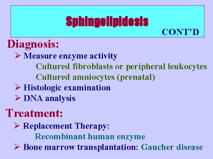 Sphingolipidosis CONT’D Diagnosis: Ø Measure enzyme activity Cultured fibroblasts or peripheral leukocytes Cultured amniocytes