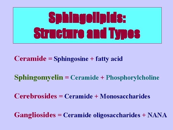 Sphingolipids: Structure and Types Ceramide = Sphingosine + fatty acid Sphingomyelin = Ceramide +