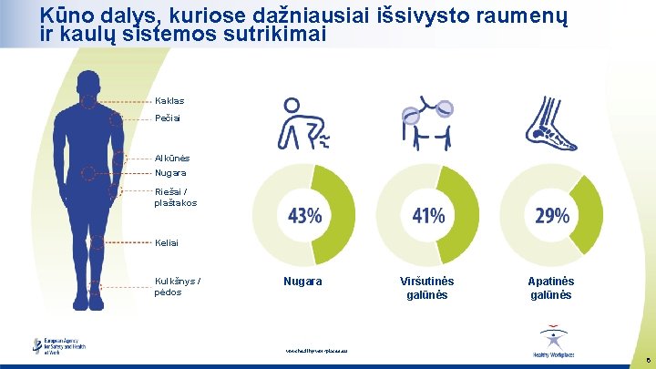 Kūno dalys, kuriose dažniausiai išsivysto raumenų ir kaulų sistemos sutrikimai Kaklas Pečiai Alkūnės Nugara