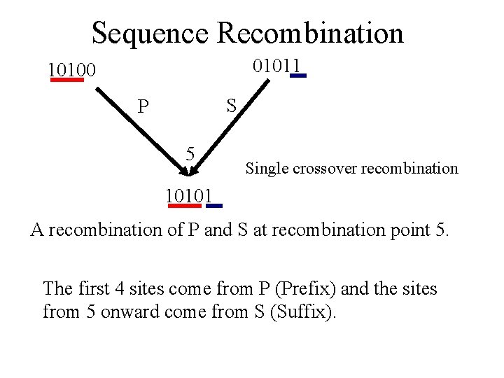 Sequence Recombination 01011 10100 S P 5 Single crossover recombination 10101 A recombination of