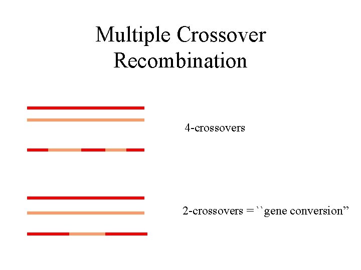 Multiple Crossover Recombination 4 -crossovers 2 -crossovers = ``gene conversion” 