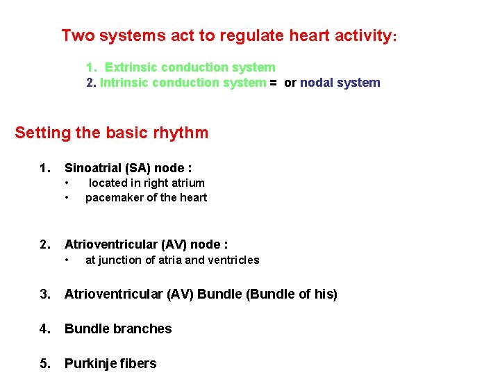 Two systems act to regulate heart activity: 1. Extrinsic conduction system 2. Intrinsic conduction