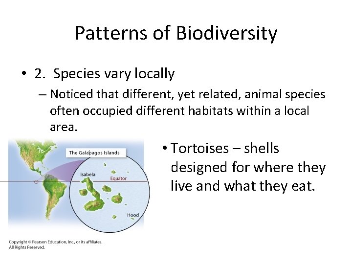 Patterns of Biodiversity • 2. Species vary locally – Noticed that different, yet related,