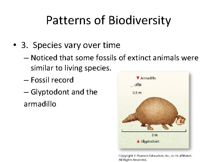 Patterns of Biodiversity • 3. Species vary over time – Noticed that some fossils