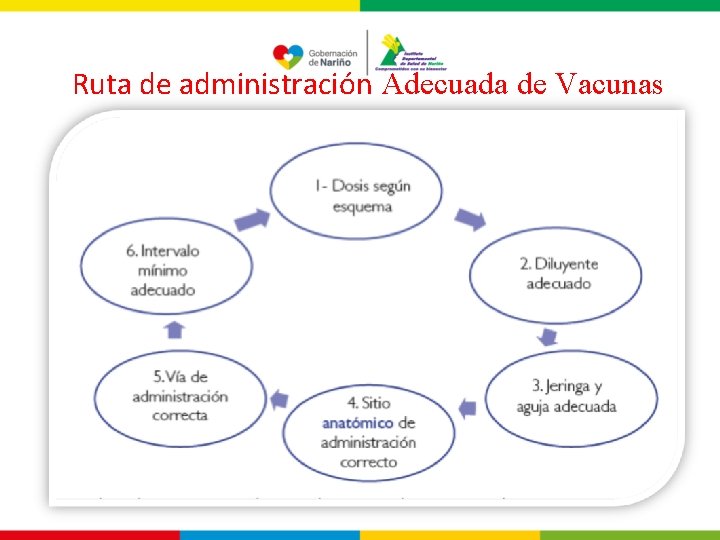 Ruta de administración Adecuada de Vacunas 