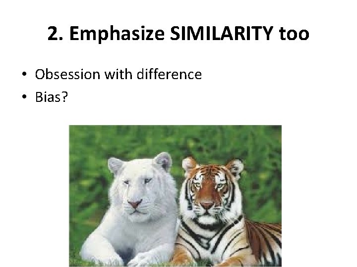 2. Emphasize SIMILARITY too • Obsession with difference • Bias? 