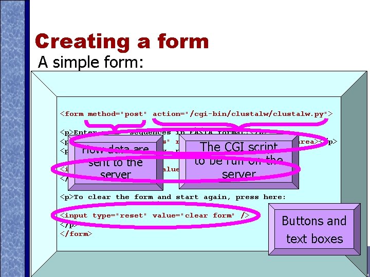 Creating a form A simple form: <form method="post" action="/cgi-bin/clustalw. py"> <p>Enter your sequences in