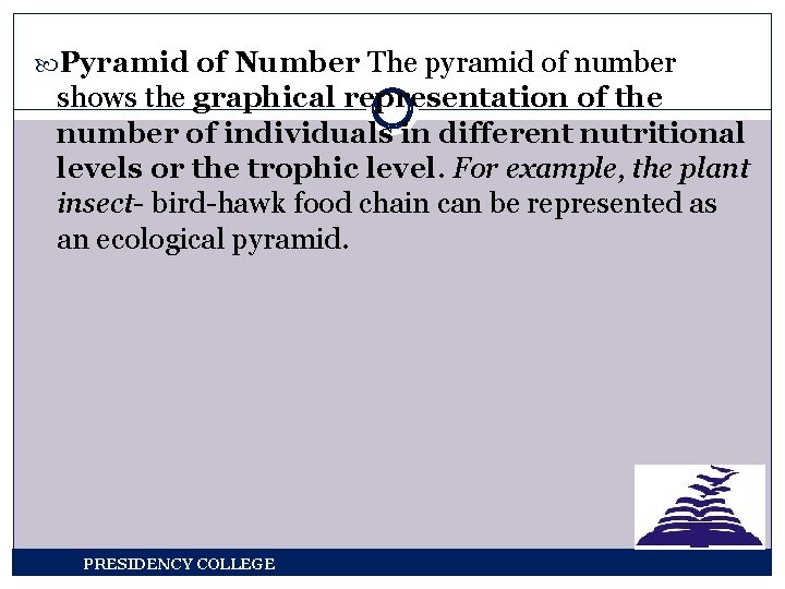  Pyramid of Number The pyramid of number shows the graphical representation of the