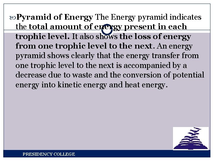  Pyramid of Energy The Energy pyramid indicates the total amount of energy present