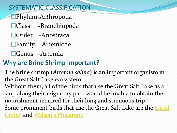 SYSTEMATIC CLASSIFICATION �Phylum-Arthropoda �Class -Branchiopoda �Order -Anostraca �Family -Artemidae �Genus -Artemia Why are Brine