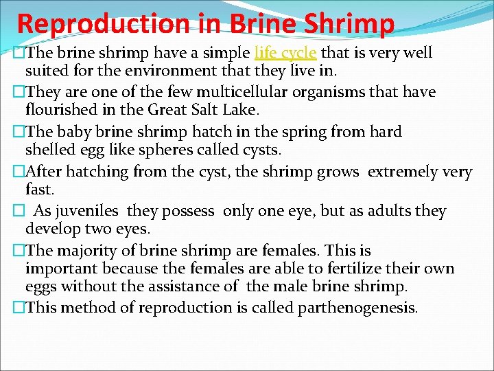 Reproduction in Brine Shrimp �The brine shrimp have a simple life cycle that is