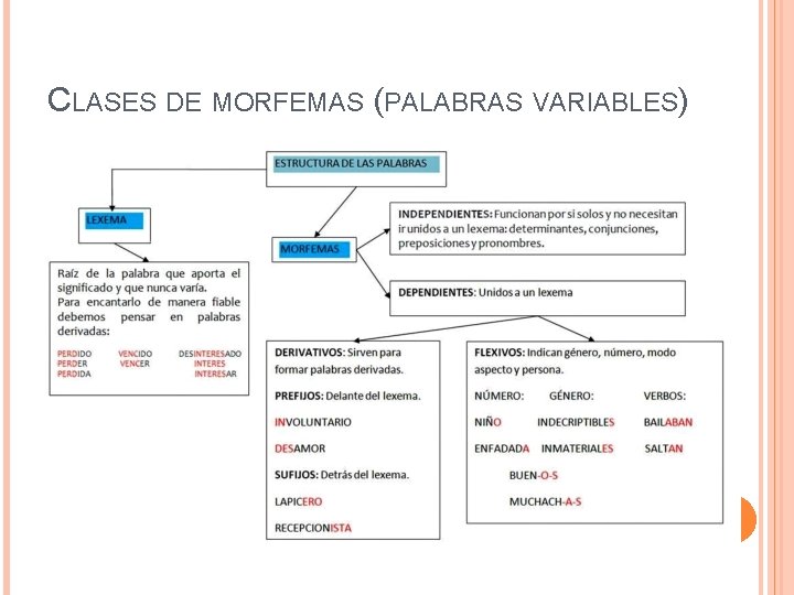 CLASES DE MORFEMAS (PALABRAS VARIABLES) 