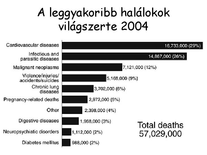 A leggyakoribb halálokok világszerte 2004 