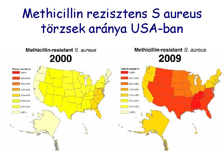 Methicillin rezisztens S aureus törzsek aránya USA-ban 