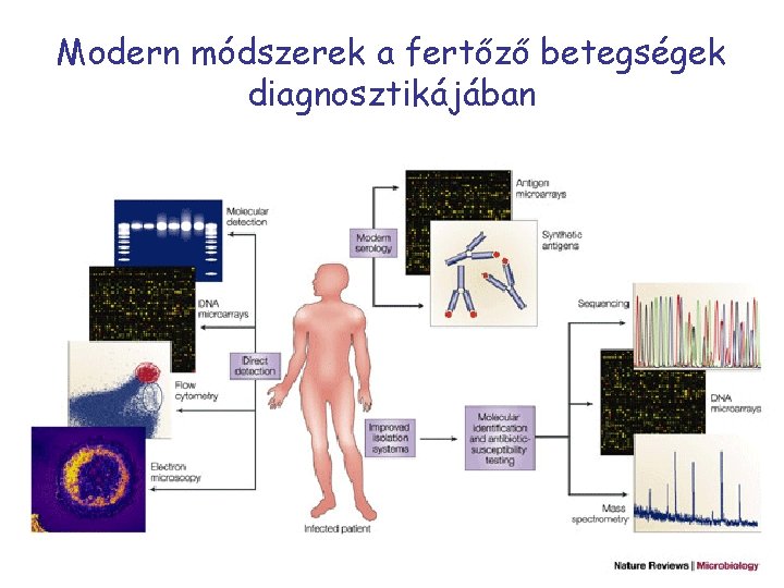 Modern módszerek a fertőző betegségek diagnosztikájában 