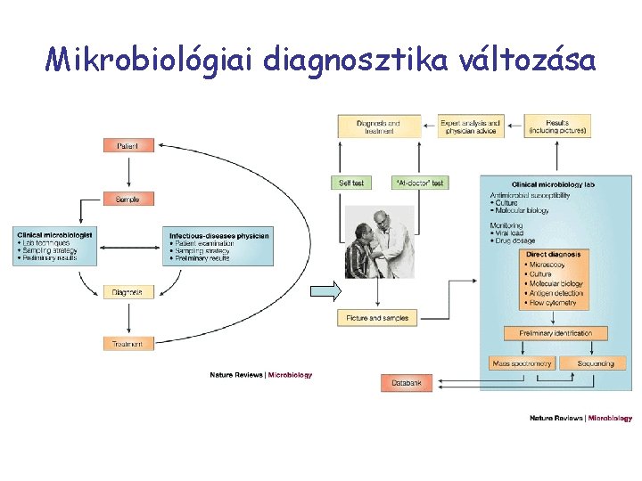 Mikrobiológiai diagnosztika változása 