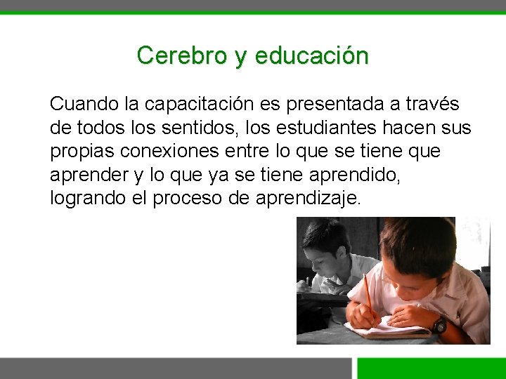 Cerebro y educación Cuando la capacitación es presentada a través de todos los sentidos,