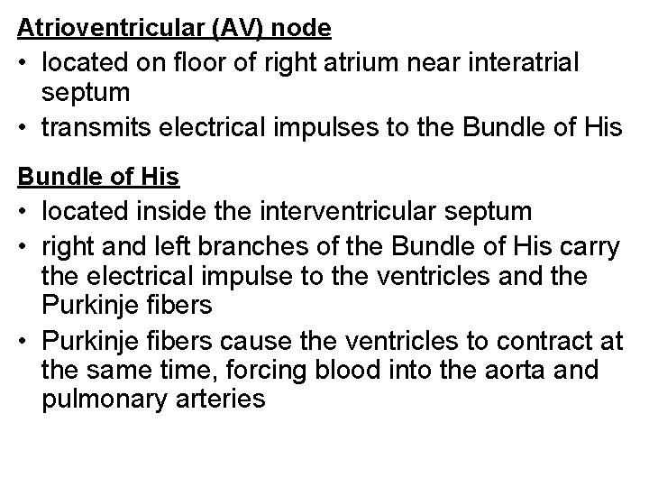 Atrioventricular (AV) node • located on floor of right atrium near interatrial septum •