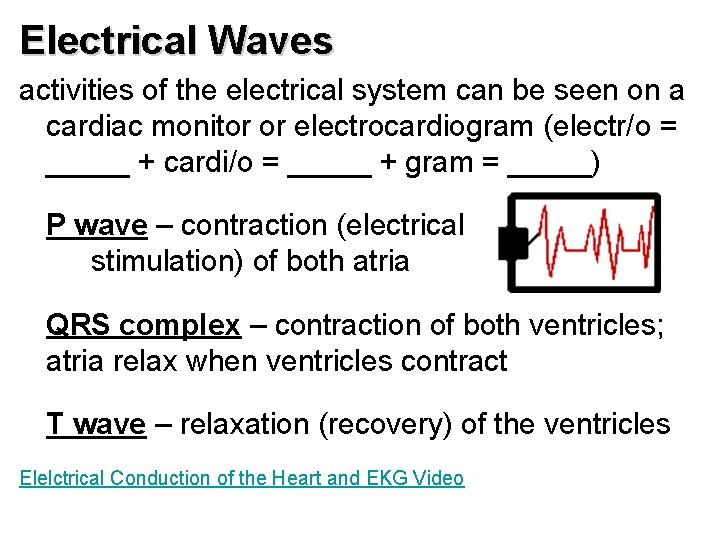 Electrical Waves activities of the electrical system can be seen on a cardiac monitor