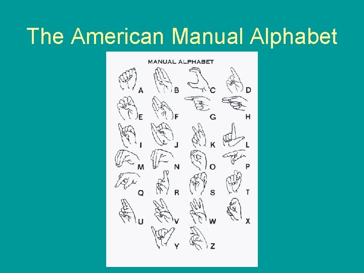 The American Manual Alphabet 