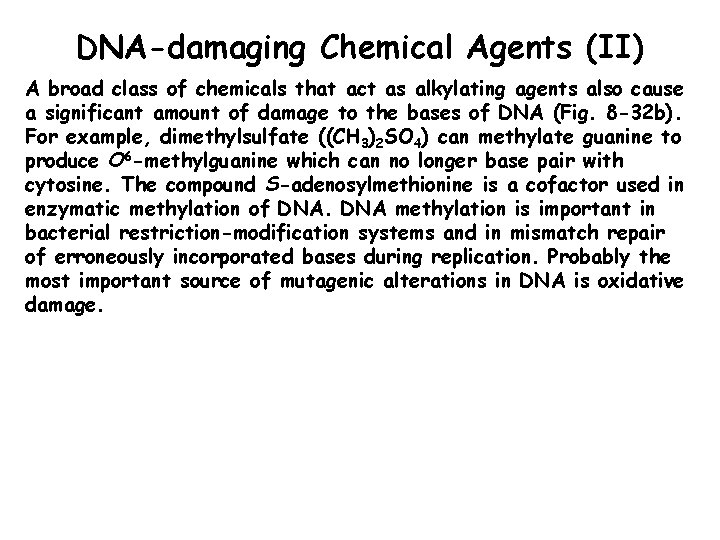 DNA-damaging Chemical Agents (II) A broad class of chemicals that act as alkylating agents