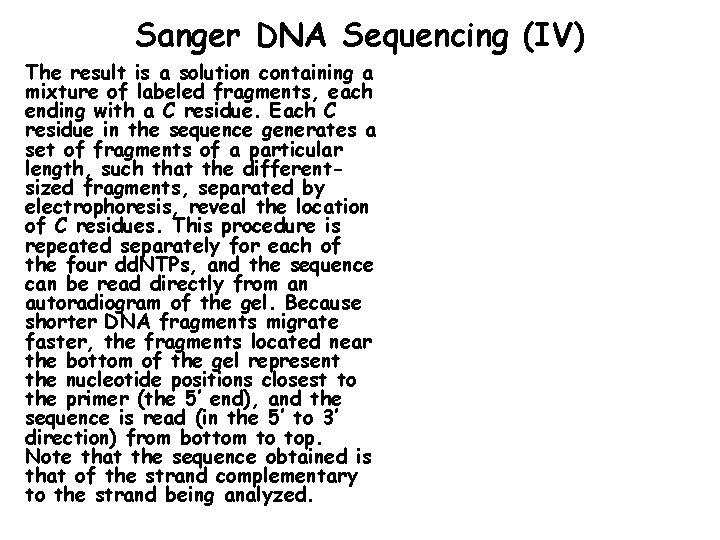 Sanger DNA Sequencing (IV) The result is a solution containing a mixture of labeled
