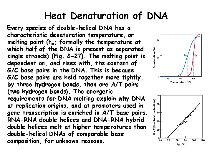 Heat Denaturation of DNA Every species of double-helical DNA has a characteristic denaturation temperature,