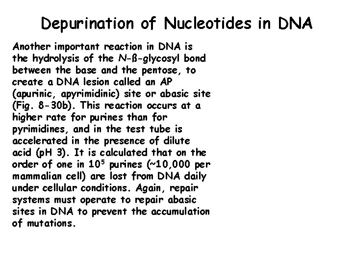 Depurination of Nucleotides in DNA Another important reaction in DNA is the hydrolysis of