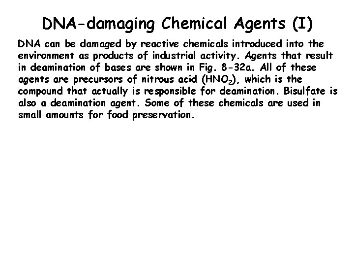 DNA-damaging Chemical Agents (I) DNA can be damaged by reactive chemicals introduced into the