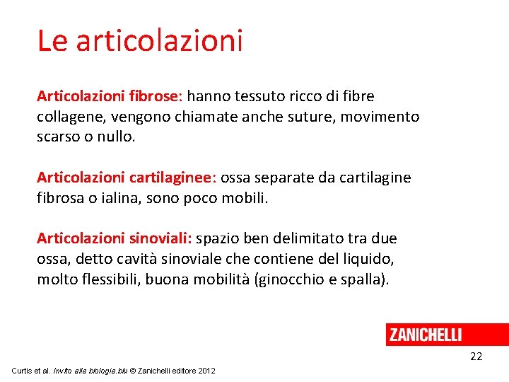 Le articolazioni Articolazioni fibrose: hanno tessuto ricco di fibre collagene, vengono chiamate anche suture,