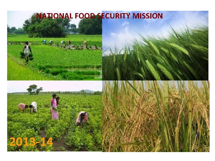 NATIONAL FOOD SECURITY MISSION 2013 -14 