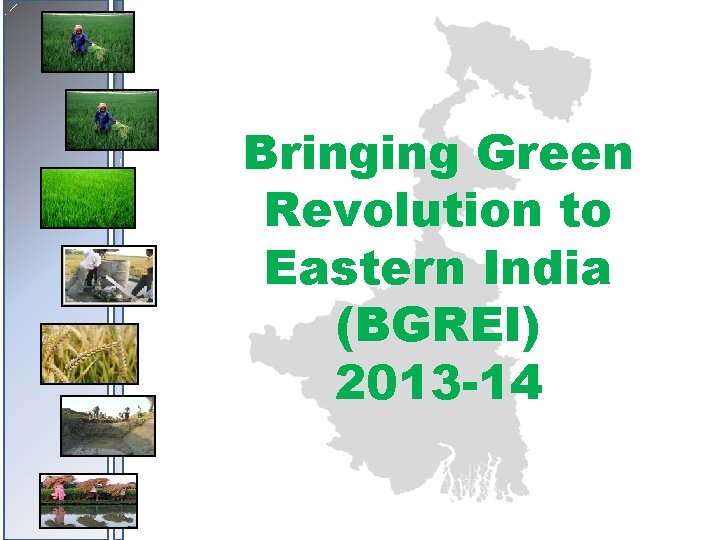 Bringing Green Revolution to Eastern India (BGREI) 2013 -14 