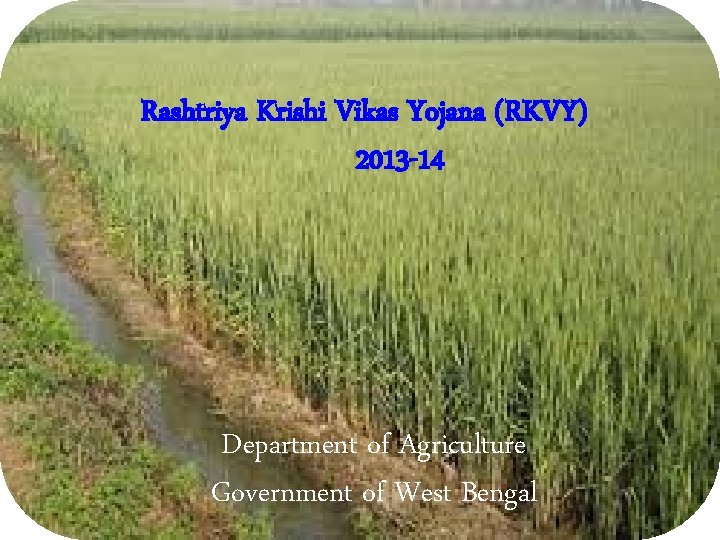 Rashtriya Krishi Vikas Yojana (RKVY) 2013 -14 Department of Agriculture Government of West Bengal